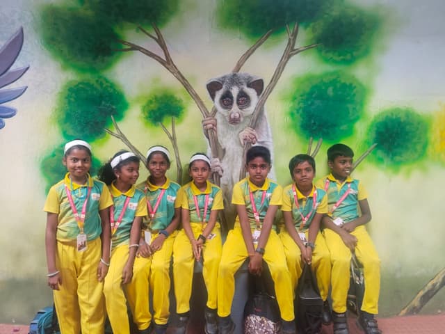 School life